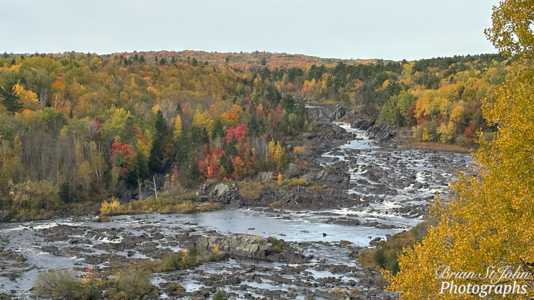 Solve Wind Blown Wednesday 10/14/26 (C) (Fall Colors) jigsaw puzzle ...