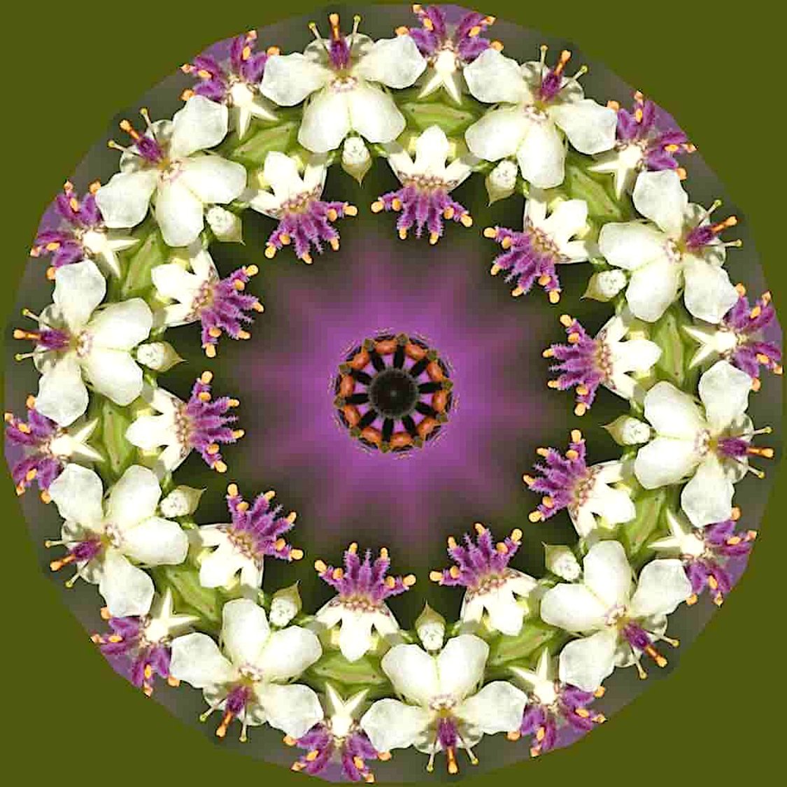 Small Images Solve #1 very small jigsaw puzzle online with 25 pieces